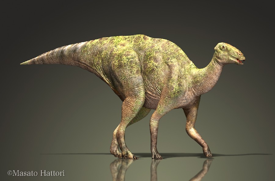 khung-long-hadrosaurus2
