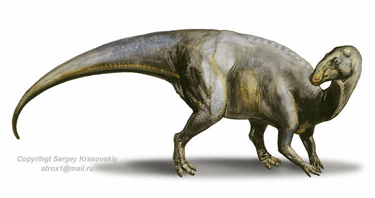 khung-long-hadrosaurus4