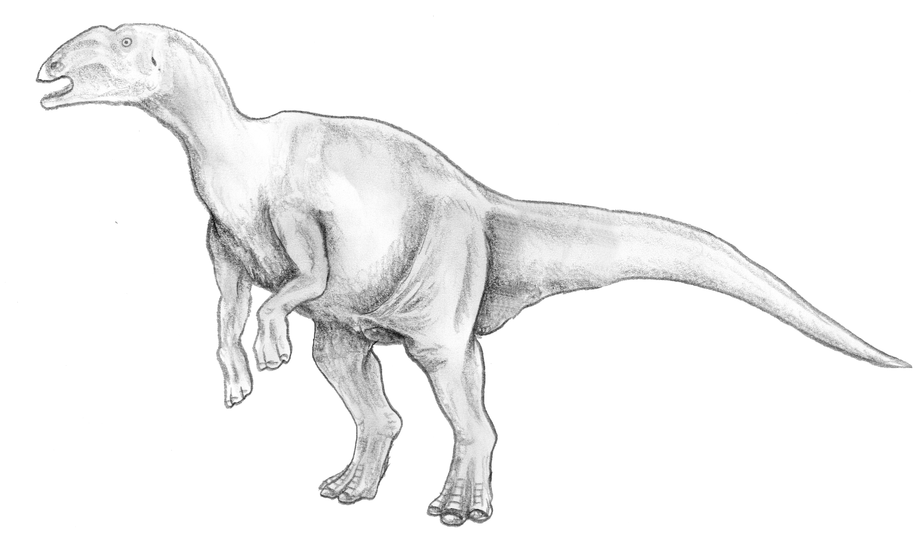 khung-long-hadrosaurus6