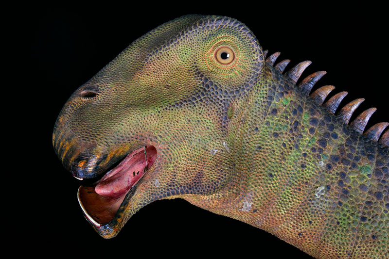 nigersaurus-thant-lan-niger1