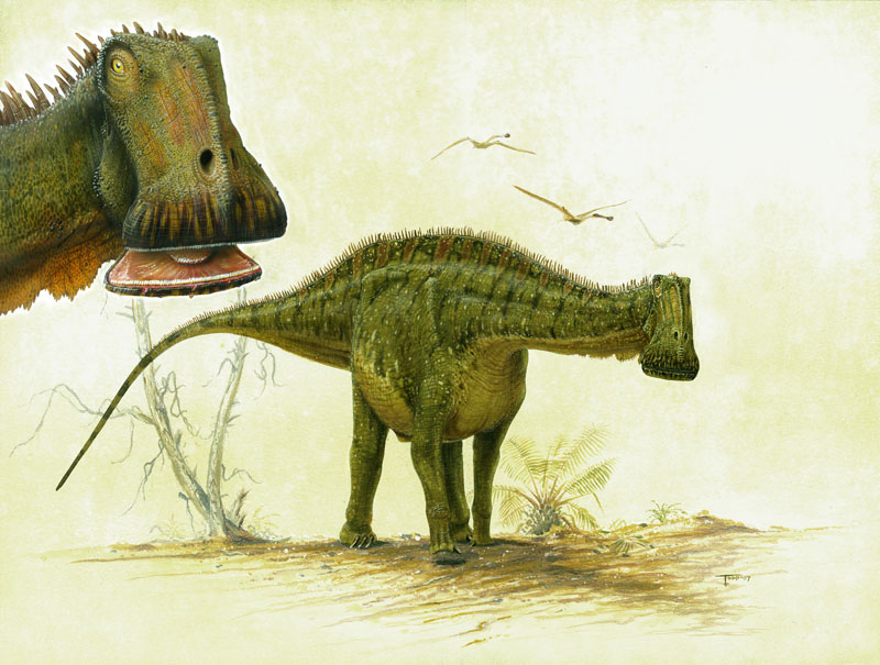 nigersaurus-thant-lan-niger2