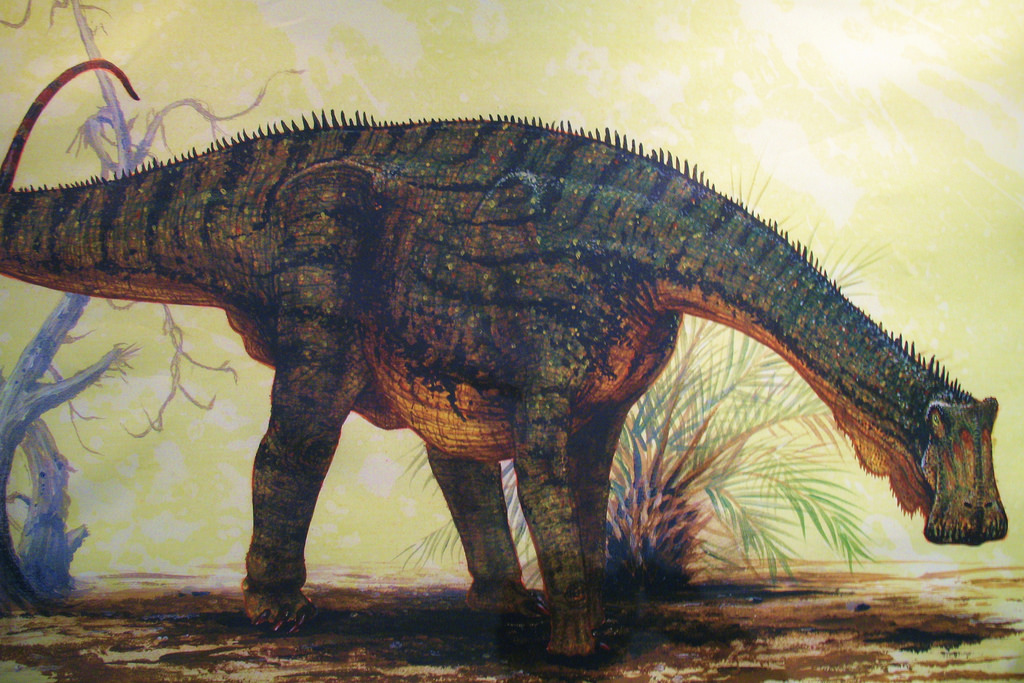 nigersaurus-thant-lan-niger6