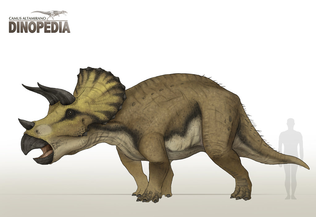 triceratops-khung-long-ba-sung2
