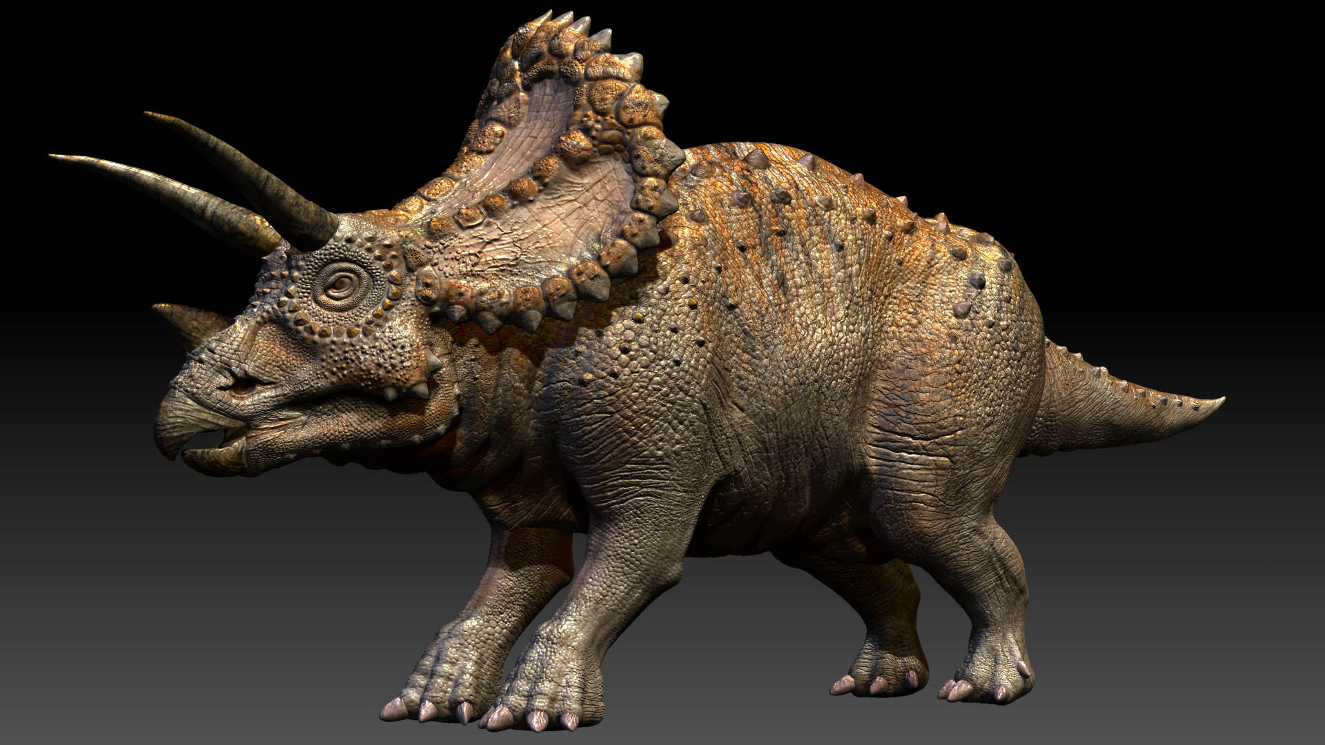 triceratops-khung-long-ba-sung3