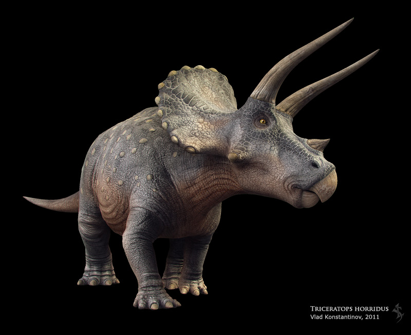 triceratops-khung-long-ba-sung4