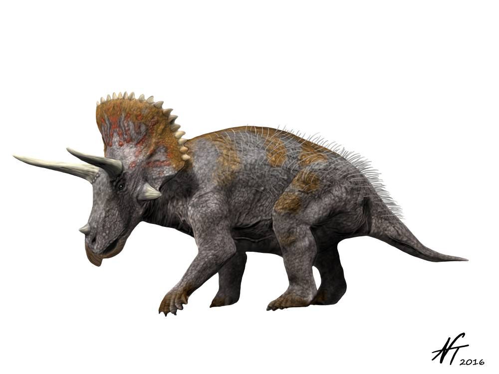 triceratops-khung-long-ba-sung5