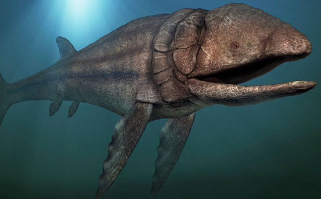 Leedsichthys problematicus loài cá tiền sử lớn nhất mọi thời đại